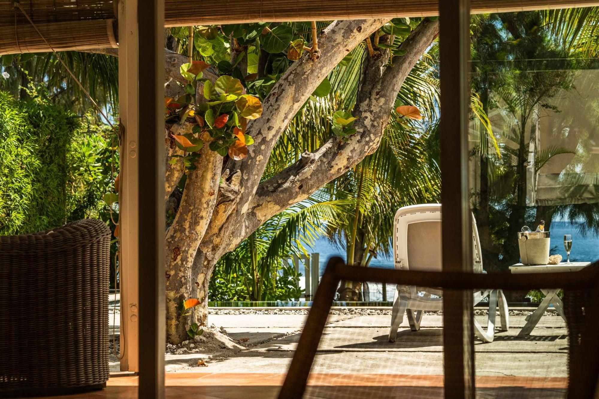 Des Aigrettes Villa Saint-Paul Ngoại thất bức ảnh