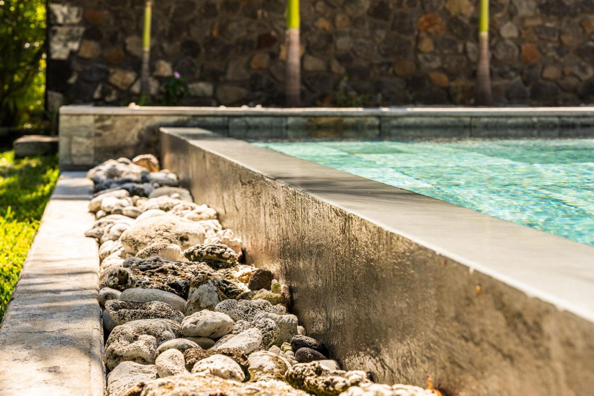 Des Aigrettes Villa Saint-Paul Ngoại thất bức ảnh